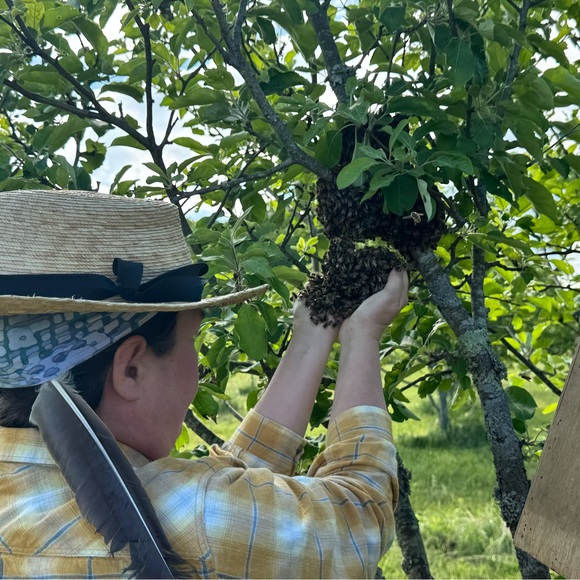 beetender